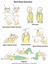 Neck Exercises Muscle Images