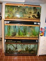 55 Gallon Fish Aquarium Stand