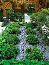 Gravel Rocks For Landscaping