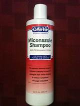 Medicated Shampoo For Ringworm For Dogs Pictures