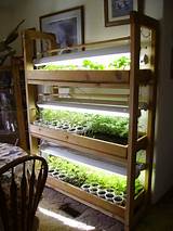 Images of Build A Grow Room Cheap