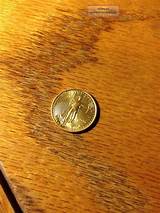Images of 1 10 Oz Fine Gold Five Dollar Coin