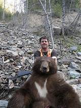 Cheap Bear Hunting Trips Photos