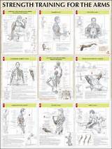 Arms Weight Lifting Exercises Photos