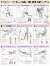 Photos of Hip Joint Muscle Strengthening Exercises