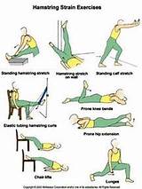 Names Of Muscle Strengthening Exercises Photos