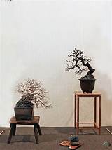 Pictures of Ikebana Classes Near Me