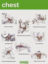 Muscle Workout Chest Images