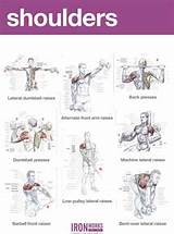 Workouts Arms And Shoulders Photos