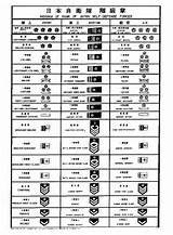 Ranks In The Army In Order Images