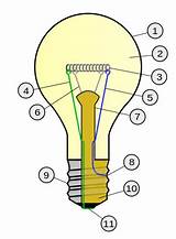 Pictures of Led Light Bulb Positive Negative