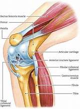 Muscle Strengthening Around Knee