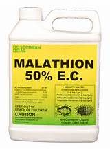 Pictures of Malathion Ant Control