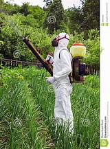 Photos of Protective Clothing For Spraying Chemicals