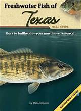 Freshwater Fish In Texas Pictures