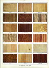 How Many Types Of Wood Do We Have Images
