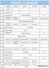 Images of Efc Class Schedule