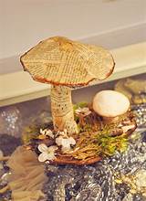 Mushroom Class Photos