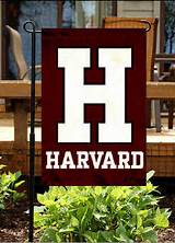 College Online Harvard Photos