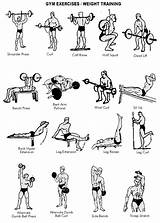 Photos of Exercise Programs Weight Lifting