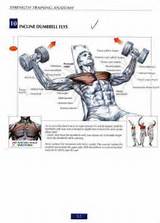 Lower Pec Workout At Home