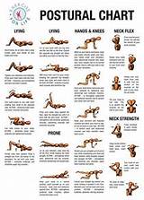 Lower Back Pain Workout Exercises Photos