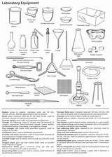 Pictures of Laboratory Equipment Worksheet Answer Key