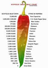 Chili Pepper Heat Index Photos