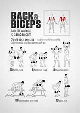 Body Workout For Biceps Images
