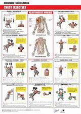 Pictures of Chest Workout Exercises