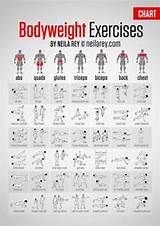 Muscle Exercises Chart Images
