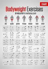 Muscle Exercise Chart