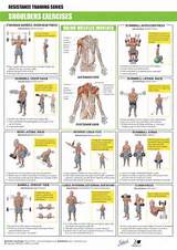 Shoulder Workout Exercises Photos