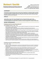 Images of Commercial Insurance Account E Ecutive Job Description