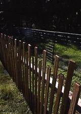 Double Fence For Deer