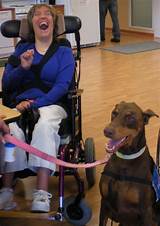 Animal Assisted Therapy Jobs Pictures