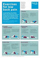 Images of Low Back Pain Core Strengthening Exercises