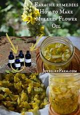 Photos of Mullein Flower Ear Oil
