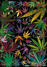 Photos of Marijuana Art For Sale