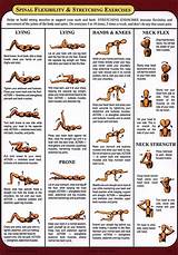 Pictures of Chiropractic Core Strengthening Exercises