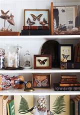Collection Display Shelves Photos