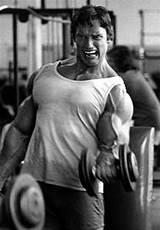 Arnold Schwarzenegger Bodybuilding Training Program Pictures