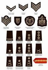 Pictures of Us Military Police Ranks