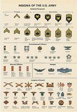 Pictures of Military Ranks And Insignias Chart