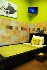 Dog Hotels In San Diego Pictures
