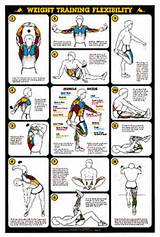 Flexibility Training Exercises Images