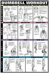 Images of Muscle Exercises With Dumbbells