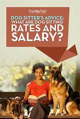 Pictures of Pet Sitting Salary