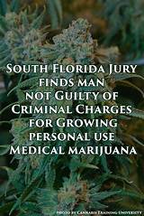 Growing Medical Marijuana In Florida Images