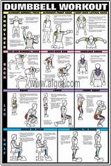 Images of Back Weight Lifting Exercises